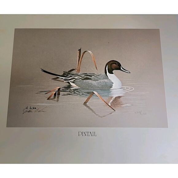 John P Lee 1983 Unframed print Pintail Duck #554/650 Pencil Signed 11⅛ x 10¼ - Picture 8 of 16